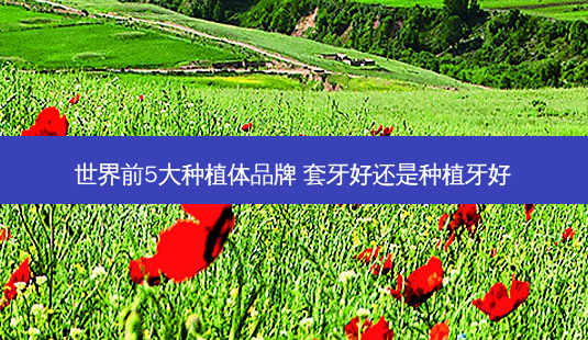 世界前5大种植体品牌 套牙好还是种植牙好-第1张图片-容颜讯 世界前5大种植体品牌 套牙好还是种植牙好-第1张图片-容颜讯