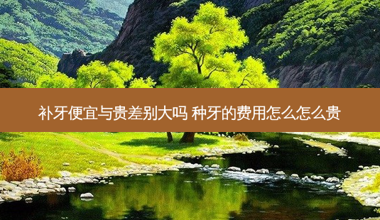 补牙便宜与贵差别大吗 种牙的费用怎么怎么贵-第1张图片-容颜讯 补牙便宜与贵差别大吗 种牙的费用怎么怎么贵-第1张图片-容颜讯