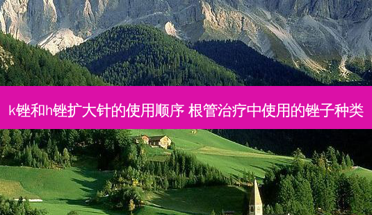 k锉和h锉扩大针的使用顺序 根管中使用的锉子种类-第1张图片-容颜讯 k锉和h锉扩大针的使用顺序 根管中使用的锉子种类-第1张图片-容颜讯