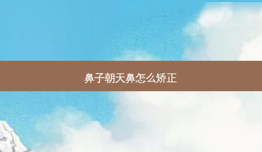 鼻子朝天鼻怎么矫正-第1张图片-容颜讯