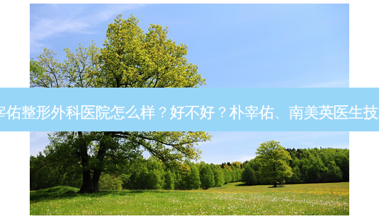 韩国朴宰佑整形外科医院怎么样？好不好？朴宰佑、南美英医生技术！-第1张图片-容颜讯