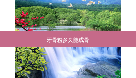 牙骨粉多久能成骨-第1张图片-容颜讯 牙骨粉多久能成骨-第1张图片-容颜讯