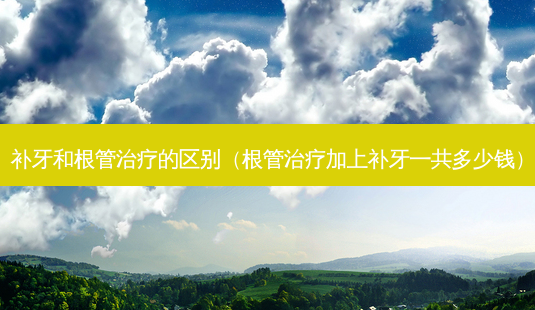 补牙和根管的区别(根管加上补牙一共多少钱)-第1张图片-容颜讯 补牙和根管的区别(根管加上补牙一共多少钱)-第1张图片-容颜讯