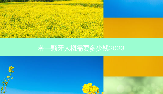 种一颗牙大概需要多少钱2023-第1张图片-容颜讯 种一颗牙大概需要多少钱2023-第1张图片-容颜讯
