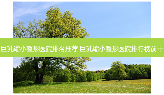  *** 缩小整形医院排名推荐  *** 缩小整形医院排行榜前十-第1张图片-容颜讯