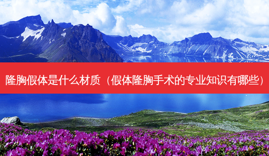 隆胸假体是什么材质(假体隆胸手术的专业知识有哪些)-第1张图片-容颜讯 隆胸假体是什么材质(假体隆胸手术的专业知识有哪些)-第1张图片-容颜讯