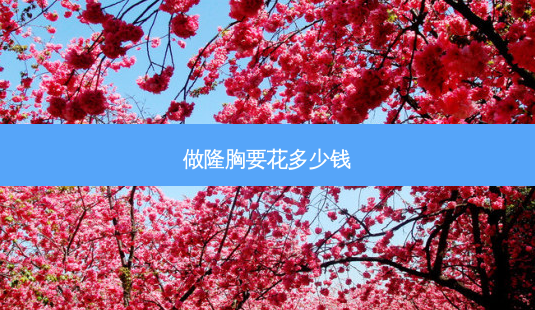 做隆胸要花多少钱-第1张图片-容颜讯 做隆胸要花多少钱-第1张图片-容颜讯