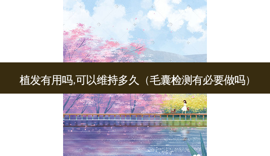 植发有用吗,可以维持多久(毛囊检测有必要做吗)-第1张图片-容颜讯 植发有用吗,可以维持多久(毛囊检测有必要做吗)-第1张图片-容颜讯