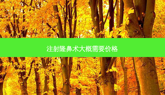注射隆鼻术大概需要价格-第1张图片-容颜讯 注射隆鼻术大概需要价格-第1张图片-容颜讯