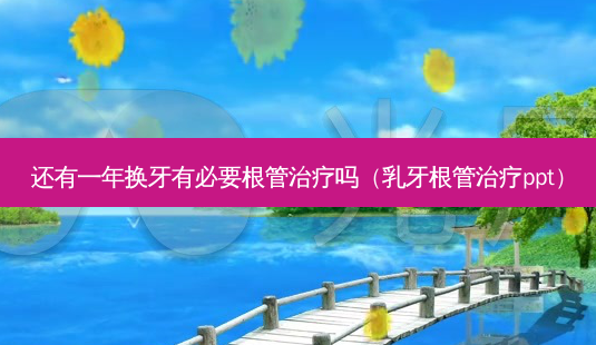 还有一年换牙有必要根管吗(乳牙根管ppt)-第1张图片-容颜讯 还有一年换牙有必要根管吗(乳牙根管ppt)-第1张图片-容颜讯