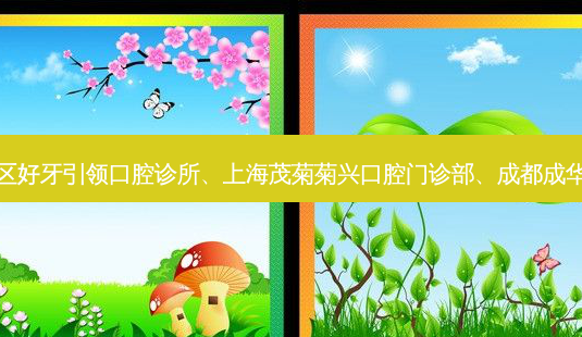 国内医美排名前十位|苏州工业园区好牙引领口腔诊所、上海茂菊菊兴口腔门诊部、成都成华奥展口腔门诊部等10大名院登榜-第1张图片-容颜讯 国内医美排名前十位|苏州工业园区好牙引领口腔诊所、上海茂菊菊兴口腔门诊部、成都成华奥展口腔门诊部等10大名院登榜-第1张图片-容颜讯