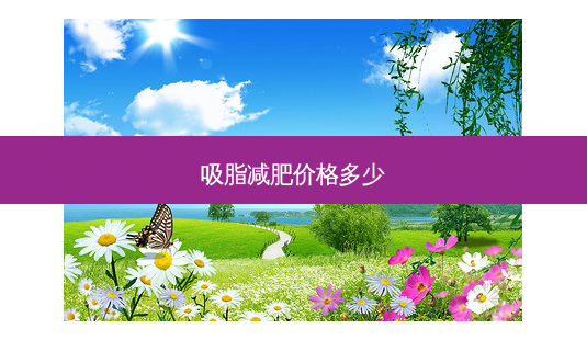吸脂减肥价格多少-第1张图片-容颜讯 吸脂减肥价格多少-第1张图片-容颜讯