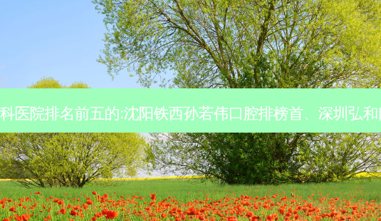 国内牙科外科牙科医院排名前五的:沈阳铁西孙若伟口腔排榜首、深圳弘和口腔门诊部第二!-第1张图片-容颜讯 国内牙科外科牙科医院排名前五的:沈阳铁西孙若伟口腔排榜首、深圳弘和口腔门诊部第二!-第1张图片-容颜讯