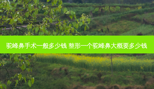 驼峰鼻手术一般多少钱 整形一个驼峰鼻大概要多少钱-第1张图片-容颜讯 驼峰鼻手术一般多少钱 整形一个驼峰鼻大概要多少钱-第1张图片-容颜讯