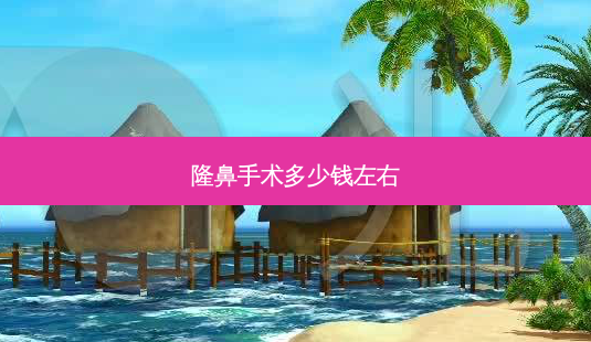 隆鼻手术多少钱左右-第1张图片-容颜讯