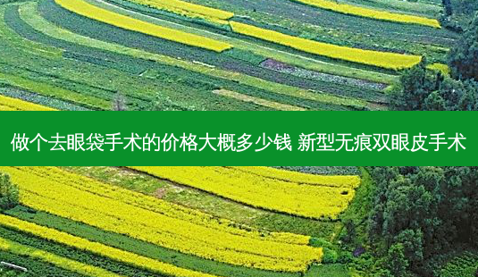 做个去眼袋手术的价格大概多少钱 新型无痕双眼皮手术-第1张图片-容颜讯