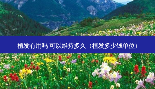 植发有用吗 可以维持多久(植发多少钱单位)-第1张图片-容颜讯 植发有用吗 可以维持多久(植发多少钱单位)-第1张图片-容颜讯