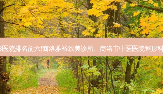 商洛祛痘|痘印|痘坑有名的整形医院排名前六!商洛雅裕致美诊所、商洛市中医医院整形科、商洛市中心医院整形骨三科-第1张图片-容颜讯 商洛祛痘|痘印|痘坑有名的整形医院排名前六!商洛雅裕致美诊所、商洛市中医医院整形科、商洛市中心医院整形骨三科-第1张图片-容颜讯