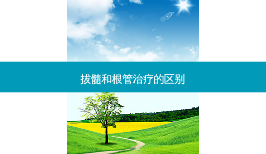 拔髓和根管的区别-第1张图片-容颜讯 拔髓和根管的区别-第1张图片-容颜讯