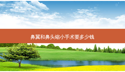 鼻翼和鼻头缩小手术要多少钱-第1张图片-容颜讯 鼻翼和鼻头缩小手术要多少钱-第1张图片-容颜讯