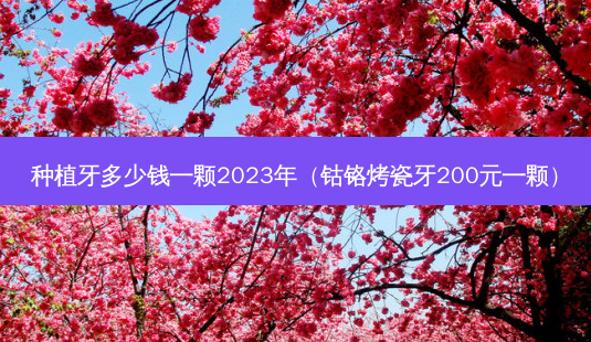 种植牙多少钱一颗2023年(钴铬烤瓷牙200元一颗)-第1张图片-容颜讯 种植牙多少钱一颗2023年(钴铬烤瓷牙200元一颗)-第1张图片-容颜讯
