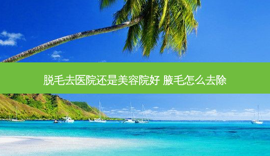 脱毛去医院还是美容院好 腋毛怎么去除-第1张图片-容颜讯 脱毛去医院还是美容院好 腋毛怎么去除-第1张图片-容颜讯