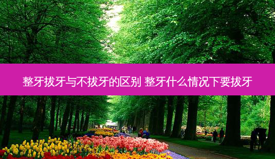 整牙拔牙与不拔牙的区别 整牙什么情况下要拔牙-第1张图片-容颜讯