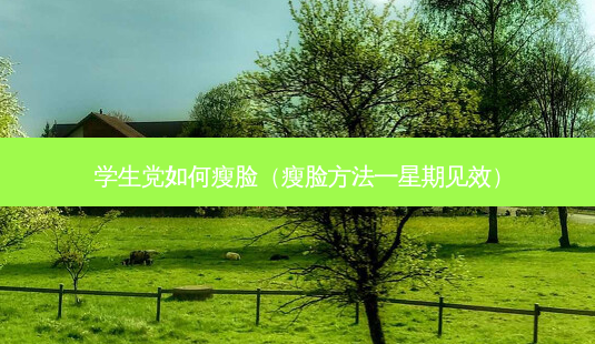 学生党如何瘦脸(瘦脸 *** 一星期见效)-第1张图片-容颜讯 学生党如何瘦脸(瘦脸 *** 一星期见效)-第1张图片-容颜讯
