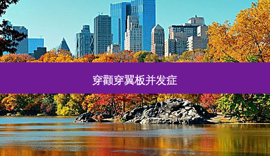 穿颧穿翼板并发症-第1张图片-容颜讯 穿颧穿翼板并发症-第1张图片-容颜讯