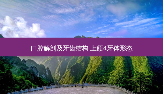 口腔解剖及牙齿结构 上颌4牙体形态-第1张图片-容颜讯