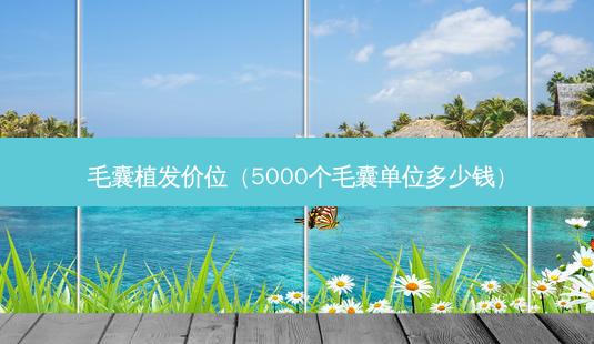 毛囊植发价位(5000个毛囊单位多少钱)-第1张图片-容颜讯 毛囊植发价位(5000个毛囊单位多少钱)-第1张图片-容颜讯