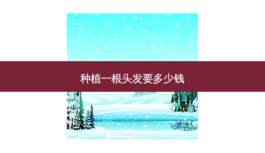 种植一根头发要多少钱-第1张图片-容颜讯 种植一根头发要多少钱-第1张图片-容颜讯