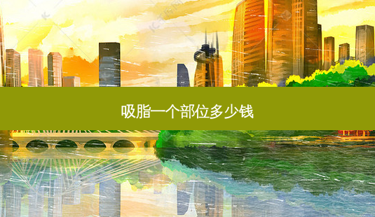 吸脂一个部位多少钱-第1张图片-容颜讯