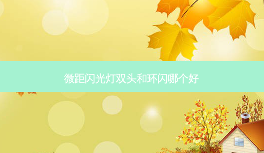微距闪光灯双头和环闪哪个好-第1张图片-容颜讯 微距闪光灯双头和环闪哪个好-第1张图片-容颜讯