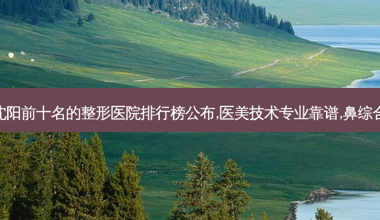 沈阳前十名的整形医院排行榜公布,医美技术专业靠谱,鼻综合-第1张图片-容颜讯