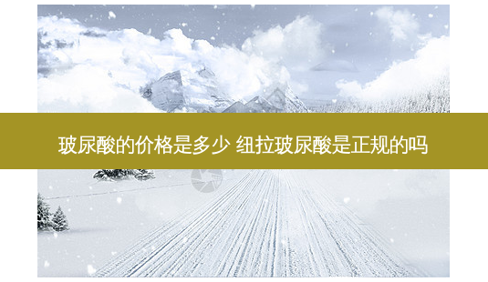 玻尿酸的价格是多少 纽拉玻尿酸是正规的吗-第1张图片-容颜讯