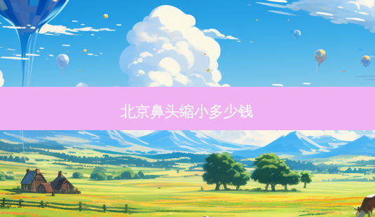 北京鼻头缩小多少钱-第1张图片-容颜讯