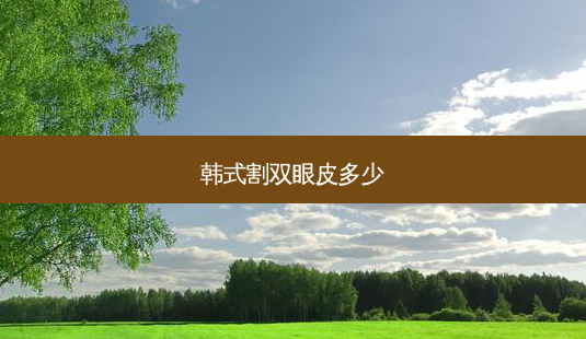 韩式割双眼皮多少-第1张图片-容颜讯