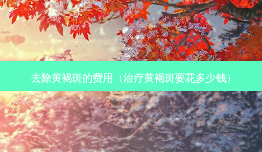 去除黄褐斑的费用(黄褐斑要花多少钱)-第1张图片-容颜讯 去除黄褐斑的费用(黄褐斑要花多少钱)-第1张图片-容颜讯