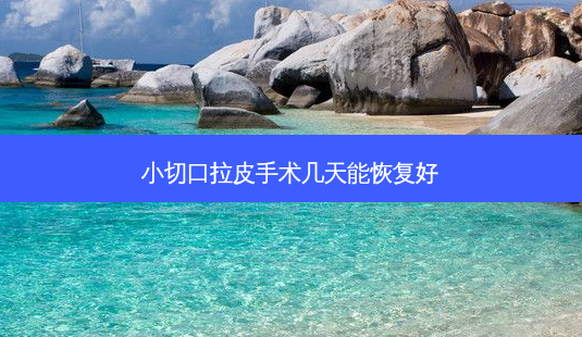 小切口拉皮手术几天能恢复好-第1张图片-容颜讯 小切口拉皮手术几天能恢复好-第1张图片-容颜讯