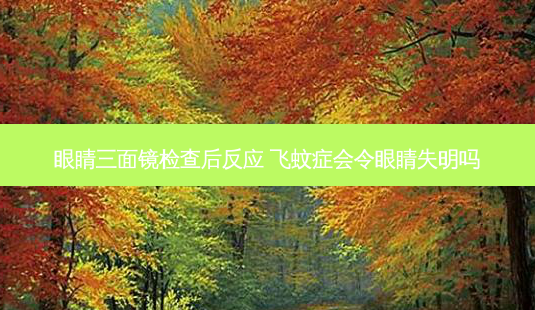 眼睛三面镜检查后反应 飞蚊症会令眼睛失明吗-第1张图片-容颜讯 眼睛三面镜检查后反应 飞蚊症会令眼睛失明吗-第1张图片-容颜讯