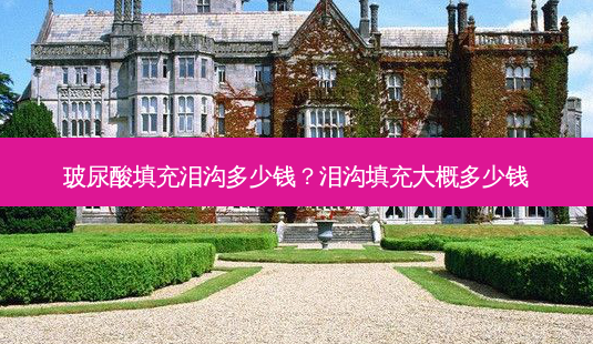 玻尿酸填充泪沟多少钱?泪沟填充大概多少钱-第1张图片-容颜讯 玻尿酸填充泪沟多少钱?泪沟填充大概多少钱-第1张图片-容颜讯