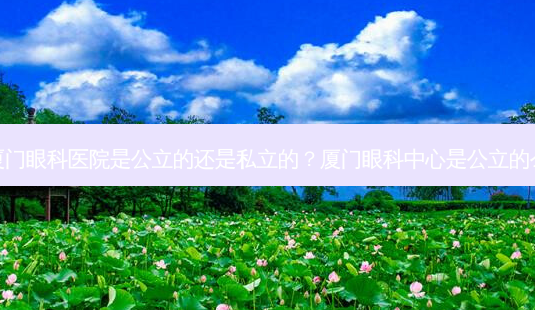厦门眼科医院是公立的还是私立的？厦门眼科中心是公立的么-第1张图片-容颜讯