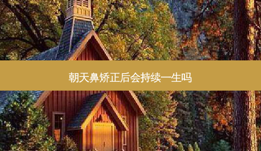 朝天鼻矫正后会持续一生吗-第1张图片-容颜讯 朝天鼻矫正后会持续一生吗-第1张图片-容颜讯