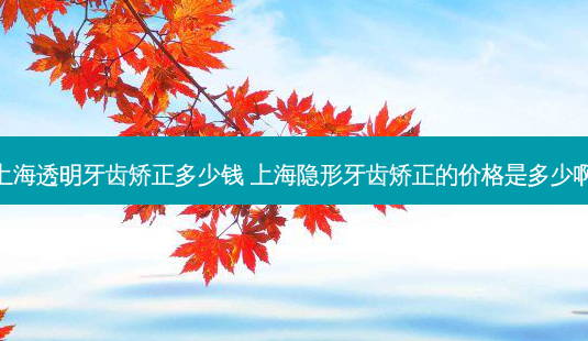 上海透明牙齿矫正多少钱 上海隐形牙齿矫正的价格是多少啊-第1张图片-容颜讯 上海透明牙齿矫正多少钱 上海隐形牙齿矫正的价格是多少啊-第1张图片-容颜讯