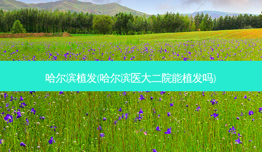 哈尔滨植发(哈尔滨医大二院能植发吗)-第1张图片-容颜讯 哈尔滨植发(哈尔滨医大二院能植发吗)-第1张图片-容颜讯