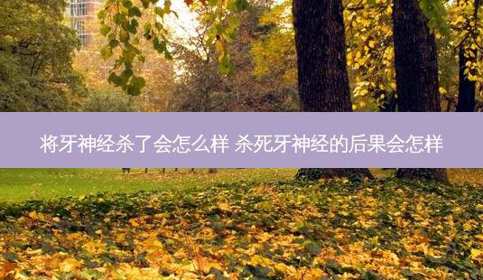 将牙神经杀了会怎么样 杀死牙神经的后果会怎样-第1张图片-容颜讯 将牙神经杀了会怎么样 杀死牙神经的后果会怎样-第1张图片-容颜讯