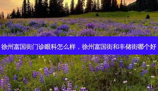 徐州富国街门诊眼科怎么样,徐州富国街和丰储街哪个好-第1张图片-容颜讯 徐州富国街门诊眼科怎么样,徐州富国街和丰储街哪个好-第1张图片-容颜讯