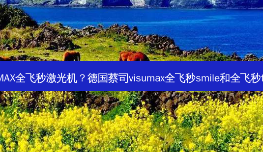 蔡司VisuMAX全飞秒激光机?德国蔡司visumax全飞秒 *** ile和全飞秒flex的区别-第1张图片-容颜讯 蔡司VisuMAX全飞秒激光机?德国蔡司visumax全飞秒 *** ile和全飞秒flex的区别-第1张图片-容颜讯