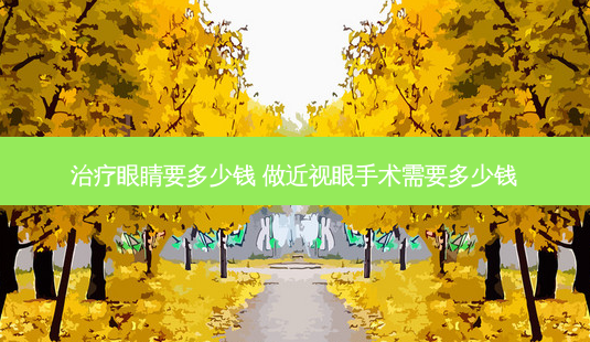 眼睛要多少钱 做近视眼手术需要多少钱-第1张图片-容颜讯